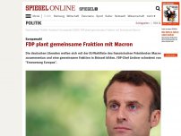 Bild zum Artikel: Europawahl: FDP plant gemeinsame Fraktion mit Macron