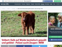 Bild zum Artikel: Abscheuliche Tat: Kalb in Velbert auf Weide bestialisch gequält und getötet - Polizei sucht Zeugen