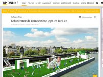 Bild zum Artikel: Auf dem Rhein: Düsseldorf bekommt erste schwimmende Hundewiese der Welt