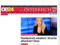 Bild zum Artikel: Hundestreit eskaliert: Strache attackiert Sima