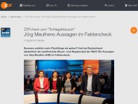 Bild zum Artikel: Jörg Meuthens Aussagen im Faktencheck