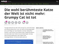 Bild zum Artikel: Grumpy Cat: Die wohl berühmteste Katze der Welt ist tot