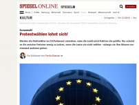 Bild zum Artikel: Europawahl: Protestwählen lohnt sich!