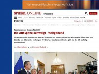 Bild zum Artikel: Reaktionen zum Strache-Rücktritt: Die AfD-Spitze schweigt