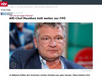 Bild zum Artikel: 'Ist uns ein enger Partner': AfD-Chef Meuthen hält weiter zur FPÖ