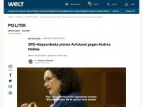 Bild zum Artikel: SPD-Abgeordnete planen Aufstand gegen Andrea Nahles