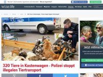 Bild zum Artikel: 320 Tiere in Kastenwagen - Polizei stoppt illegalen Tiertransport