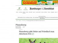Bild zum Artikel: Pinneberg: Stadt gibt Rehe auf Friedhof zum Abschuss frei