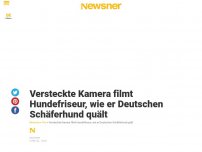Bild zum Artikel: Versteckte Kamera filmt Hundefriseur, wie er Deutschen Schäferhund quält