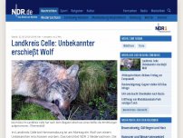 Bild zum Artikel: Landkreis Celle: Unbekannter erschießt Wolf