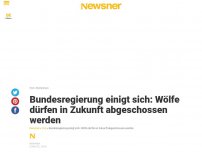 Bild zum Artikel: Bundesregierung einigt sich: Wölfe dürfen in Zukunft abgeschossen werden