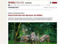 Bild zum Artikel: Reaktionen auf Kabinettsbeschluss: Neuer Streit um den Abschuss von Wölfen