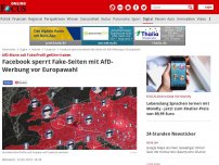 Bild zum Artikel: AfD-Mann soll Fake-Profil geführt haben - Facebook sperrt Fake-Seiten mit AfD-Werbung vor Europawahl