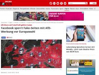 Bild zum Artikel: Mehr als 500 Seiten - Facebook sperrt Fake-Seiten mit AfD-Werbung vor Europawahl