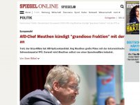 Bild zum Artikel: Europawahl: AfD-Chef Meuthen kündigt 'grandiose Fraktion' mit der FPÖ an