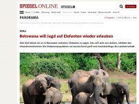 Bild zum Artikel: Afrika: Botswana will Jagd auf Elefanten wieder erlauben