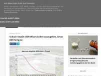 Bild zum Artikel: Schock-Studie: BER-Witze drohen auszugehen, bevor BER fertig ist