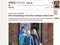 Bild zum Artikel: Hochrechnungen zur Europawahl: AfD in Brandenburg und Sachsen offenbar stärkste Partei