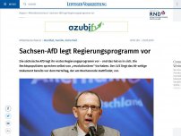Bild zum Artikel: Sachsen-AfD legt Regierungsprogramm vor