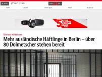 Bild zum Artikel: Mehr ausländische Häftlinge in Berlin – über 80 Dolmetscher stehen bereit