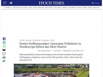 Bild zum Artikel: Färöer Delfinmassaker: Grausame Volksfeste in Nordeuropa färben das Meer blutrot