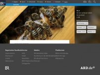 Bild zum Artikel: Nistkästen sabotiert: 20.000 Bienen in Oberfranken gestorben