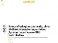 Bild zum Artikel: Fotograf bringt es zustande, einen Weißkopfseeadler in perfekter Symmetrie auf einem Bild festzuhalten