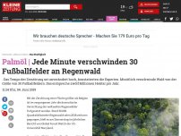 Bild zum Artikel: Jede Minute verschwinden 30 Fußballfelder an Regenwald