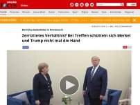Bild zum Artikel: Trump ignoriert Merkel bei D-Day-Gedenkfeier - die steht da wie ein Schulmädchen