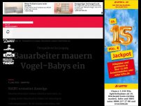 Bild zum Artikel: Tierquälerei in Leipzig: Bauarbeiter mauern Vogel-Babys ein