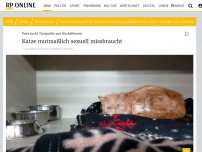 Bild zum Artikel: PETA sucht Tierquäler aus Hückelhoven: Katze mutmaßlich sexuell missbraucht