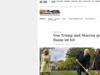 Bild zum Artikel: Weißes Haus: Von Trump und Macron gepflanzter Baum ist tot