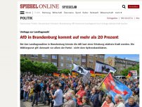 Bild zum Artikel: Umfrage zur Landtagswahl: AfD in Brandenburg kommt auf mehr als 20 Prozent