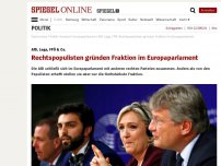 Bild zum Artikel: AfD, Lega, FPÖ & Co.: Rechtspopulisten gründen Fraktion im Europaparlament