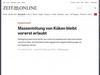 Bild zum Artikel: Geflügelwirtschaft: Massentötung von Küken bleibt vorerst erlaubt