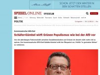 Bild zum Artikel: Kommissarischer SPD-Chef: Schäfer-Gümbel wirft Grünen Populismus wie bei der AfD vor
