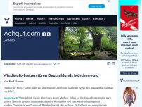 Bild zum Artikel: Windraft-Irre zerstören Deutschlands Märchenwald