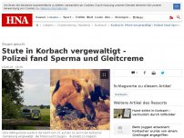 Bild zum Artikel: Stute in Korbach vergewaltigt - Polizei fand Sperma und Gleitcreme