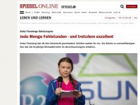 Bild zum Artikel: Greta Thunbergs Schulzeugnis: Jede Menge Fehlstunden - und trotzdem exzellent