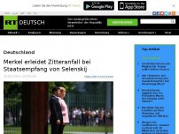 Bild zum Artikel: Merkel erleidet Zitteranfall bei Staatsempfang von Selenskij