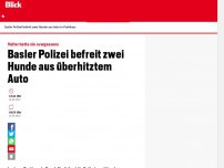 Bild zum Artikel: Halter hatte sie «vergessen»: Basler Polizei befreit zwei Hunde aus überhitztem Auto