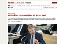 Bild zum Artikel: Sachsen-Anhalt: CDU-Politiker bringen mit fragwürdigem Vokabular Koalition mit AfD ins Spiel