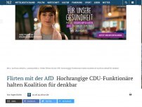Bild zum Artikel: Flirten mit der AfD: Hochrangige CDU-Funktionäre halten Koalition für denkbar
