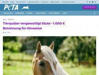 Bild zum Artikel: Tierquäler vergewaltigt Stute – 1.000 € Belohnung für Hinweise