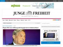 Bild zum Artikel: Wegen AfD: Soros-Stiftung prüft Engagement in Ostdeutschland