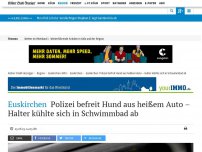 Bild zum Artikel: Euskirchen: Polizei befreit Hund aus heißem Auto – Halter kühlte sich in Schwimmbad ab