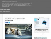 Bild zum Artikel: Tierquälerei! Hund bei 35 Grad in Cabrio zurückgelassen