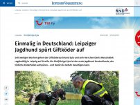 Bild zum Artikel: Erster deutscher Jagdhund, der Giftköder aufspürt, kommt aus Leipzig