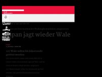 Bild zum Artikel: Japan jagt wieder Wale