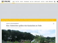Bild zum Artikel: Zeugenaufruf in Mönchengladbach: Einbrecher quälen Tiere in Kita auf bestialische Weise